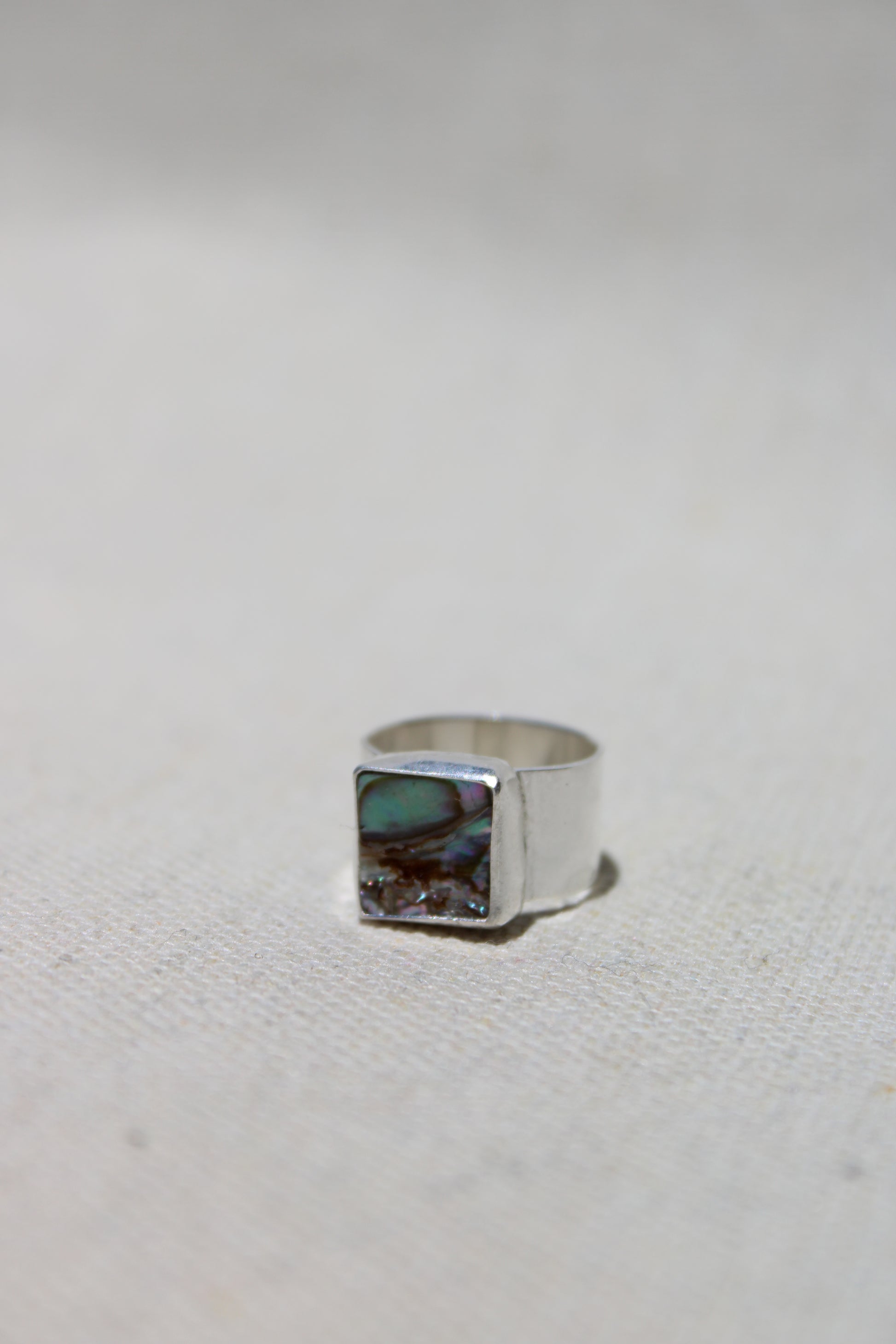 abalone 4.5