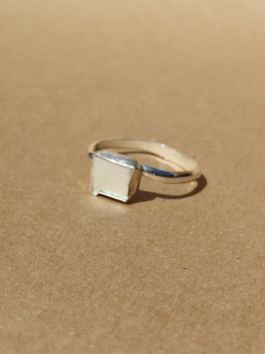 mini twinkle abalone 11.5