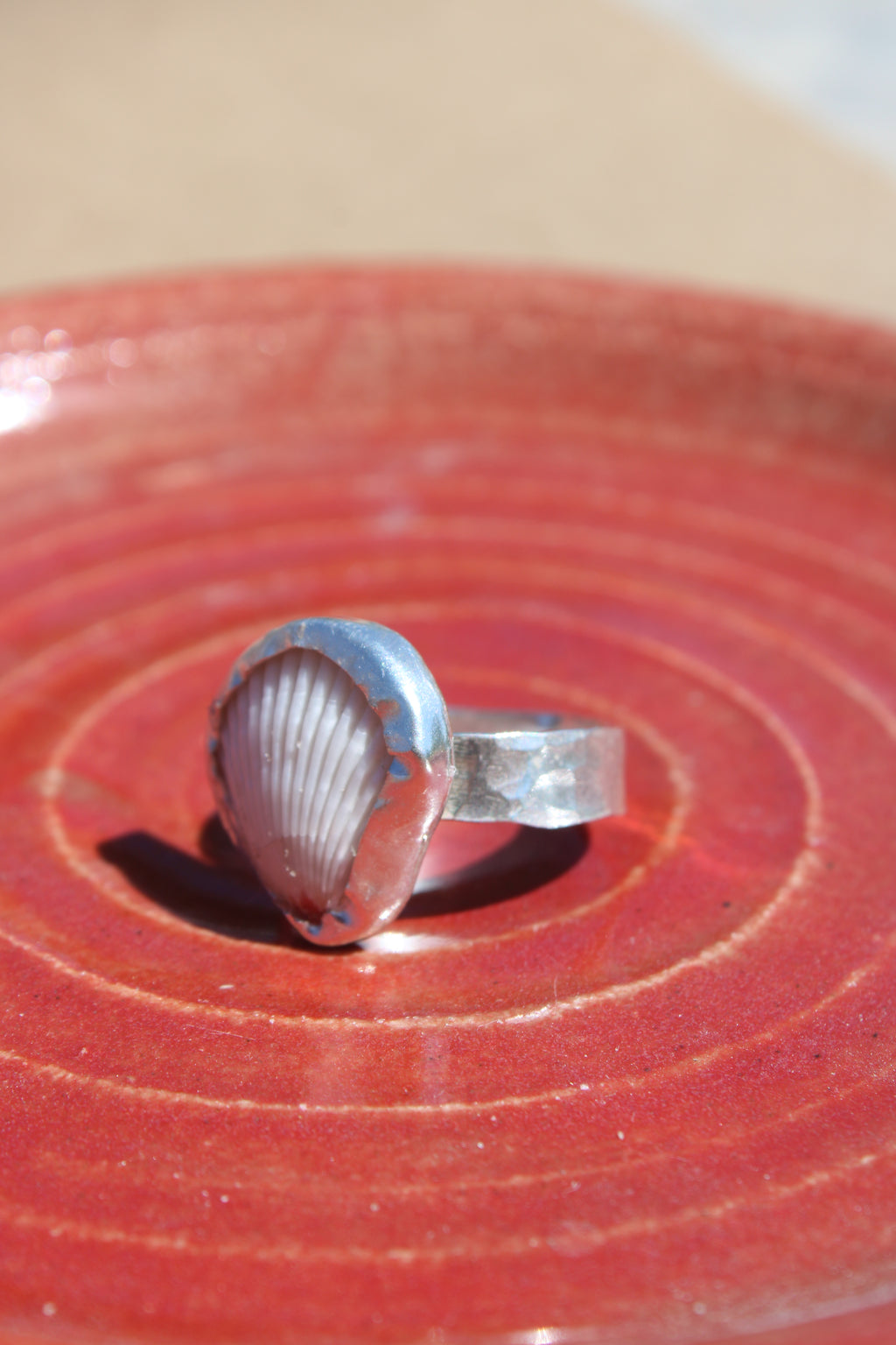 hammered scallop 8.25