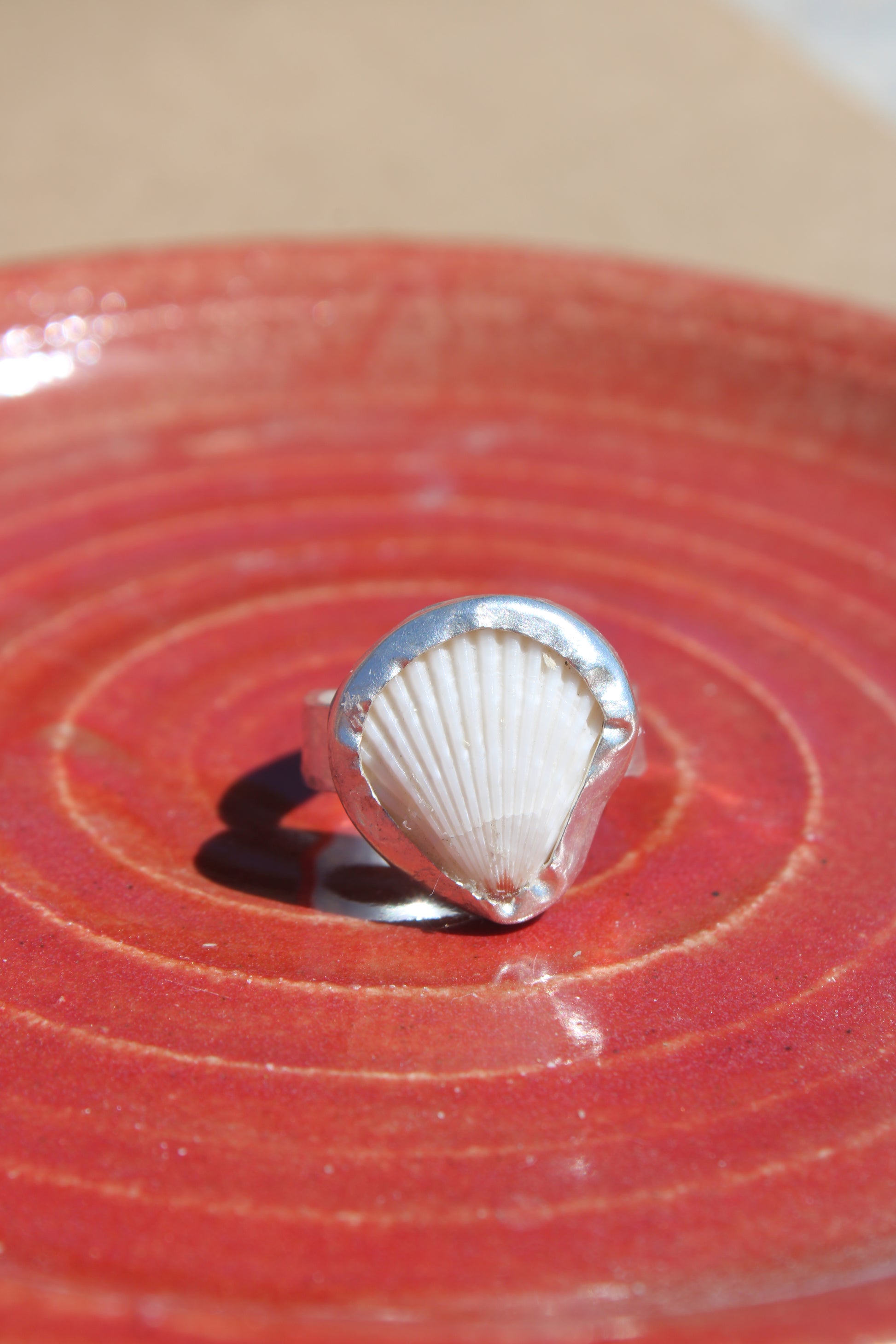 hammered scallop 8.25