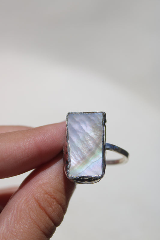 twinkle abalone 11.5