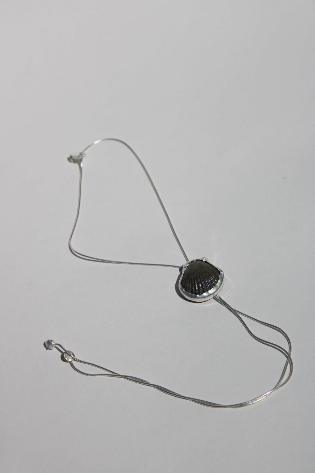 seashell bolo