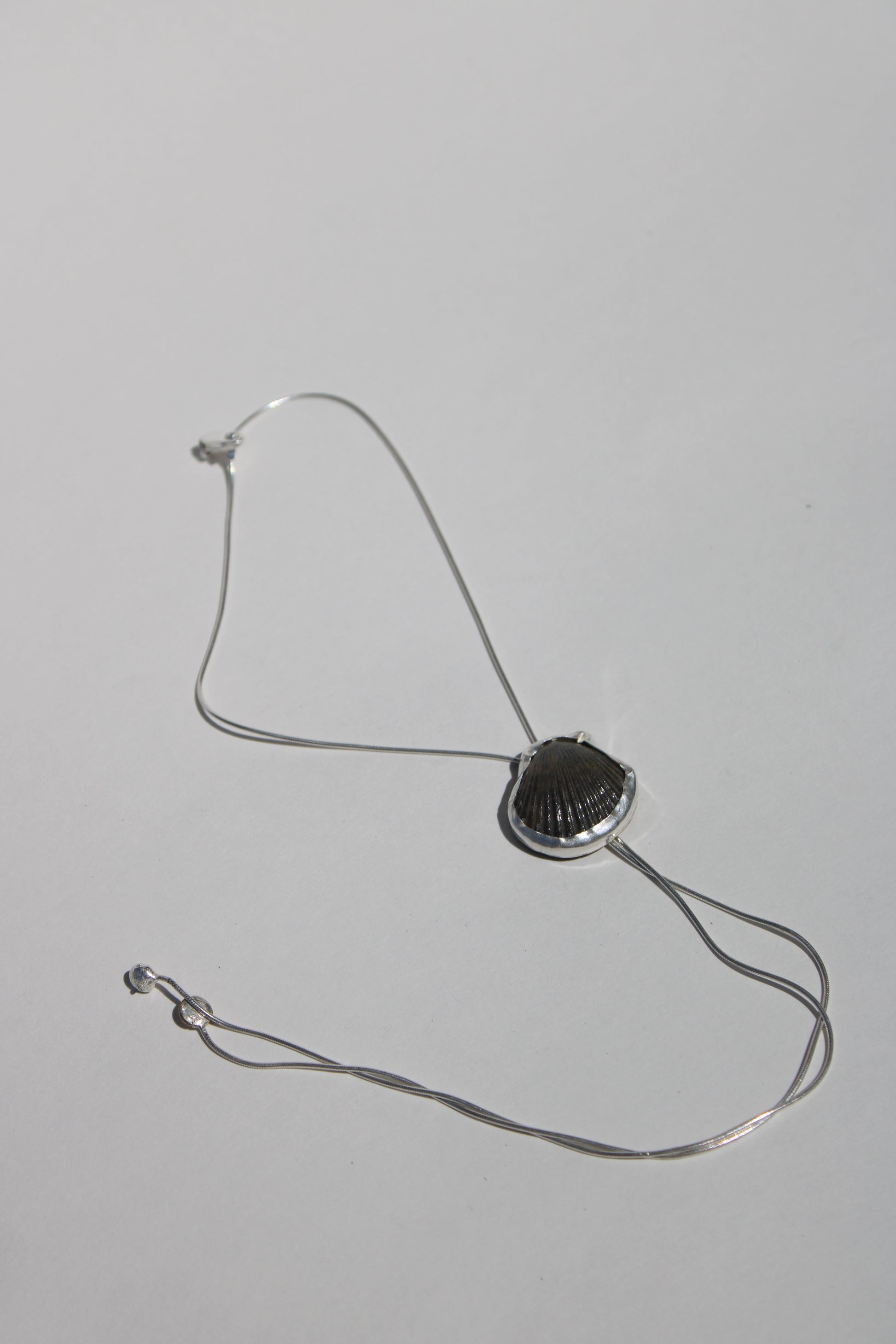 seashell bolo