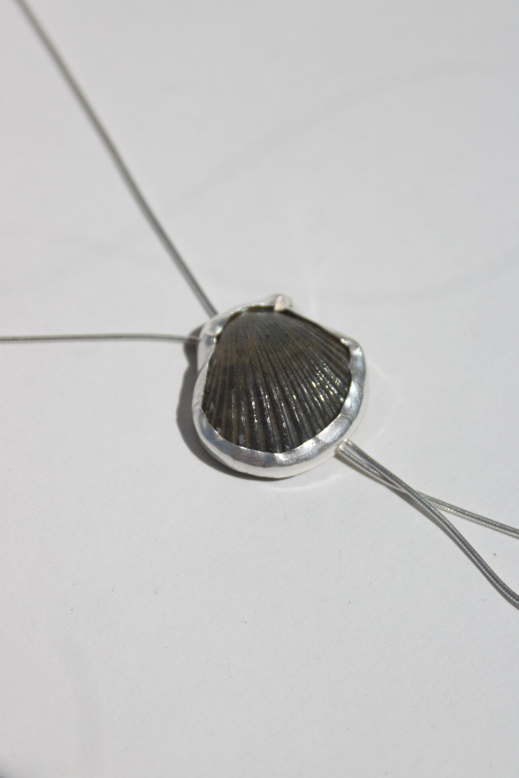 seashell bolo