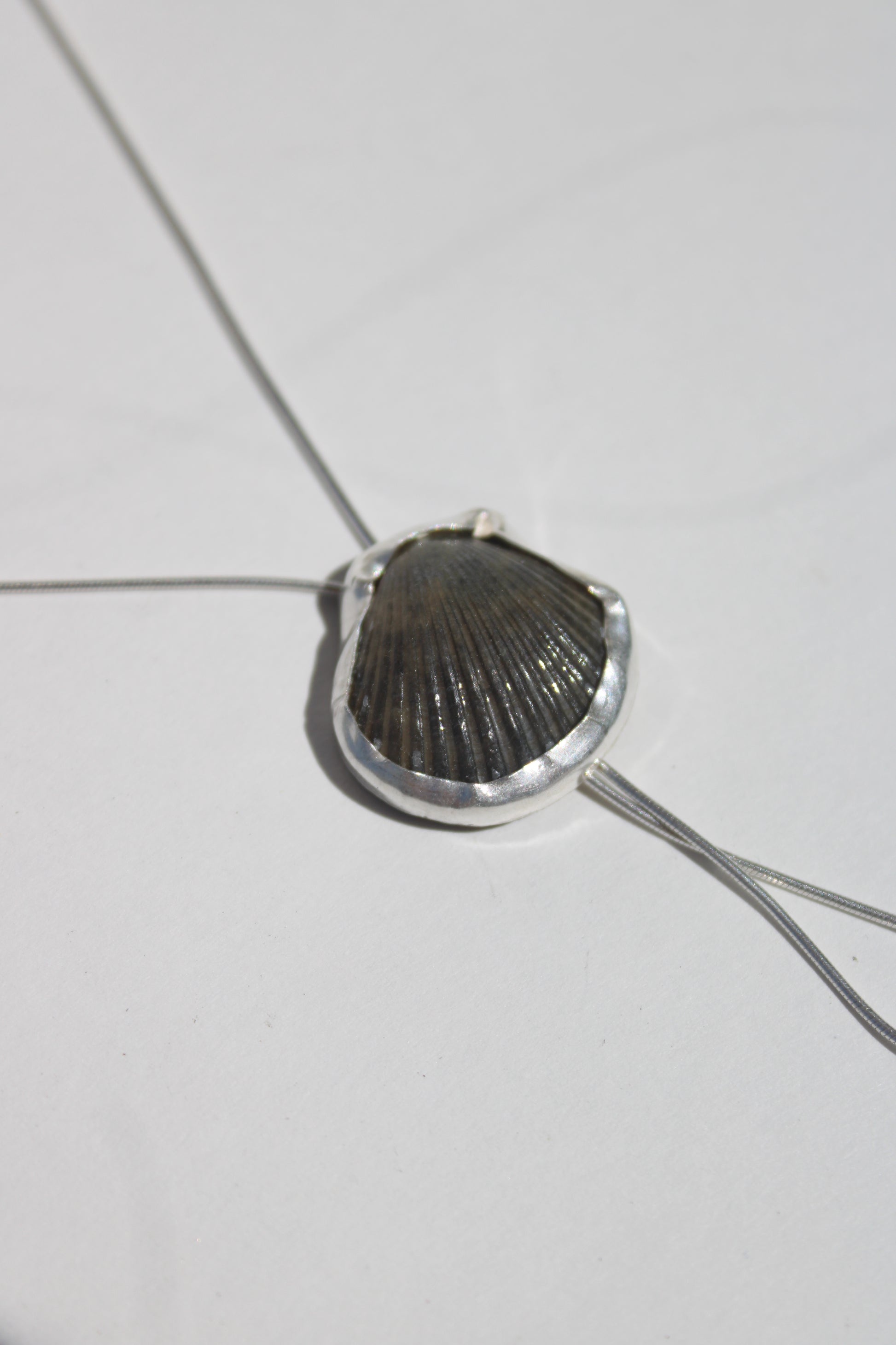 seashell bolo