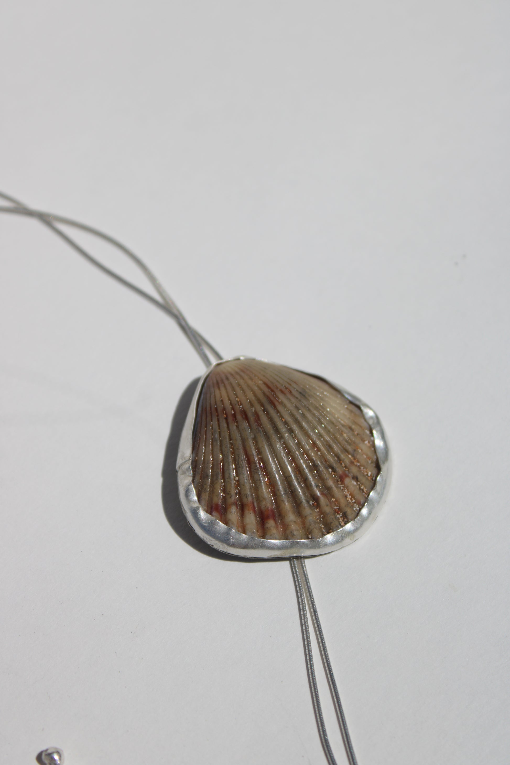 sand seashell bolo tie