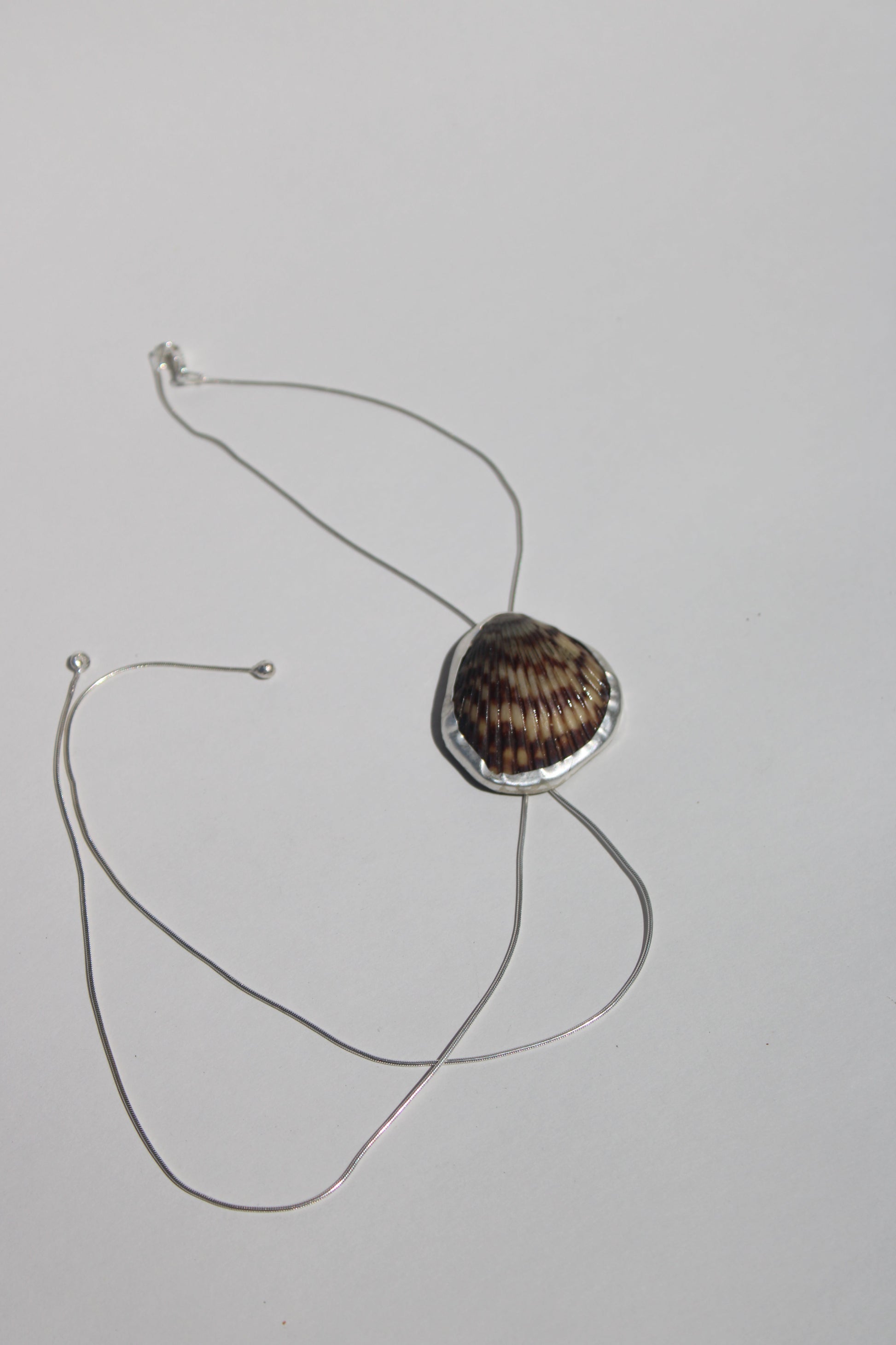 chocolate seashell bolo