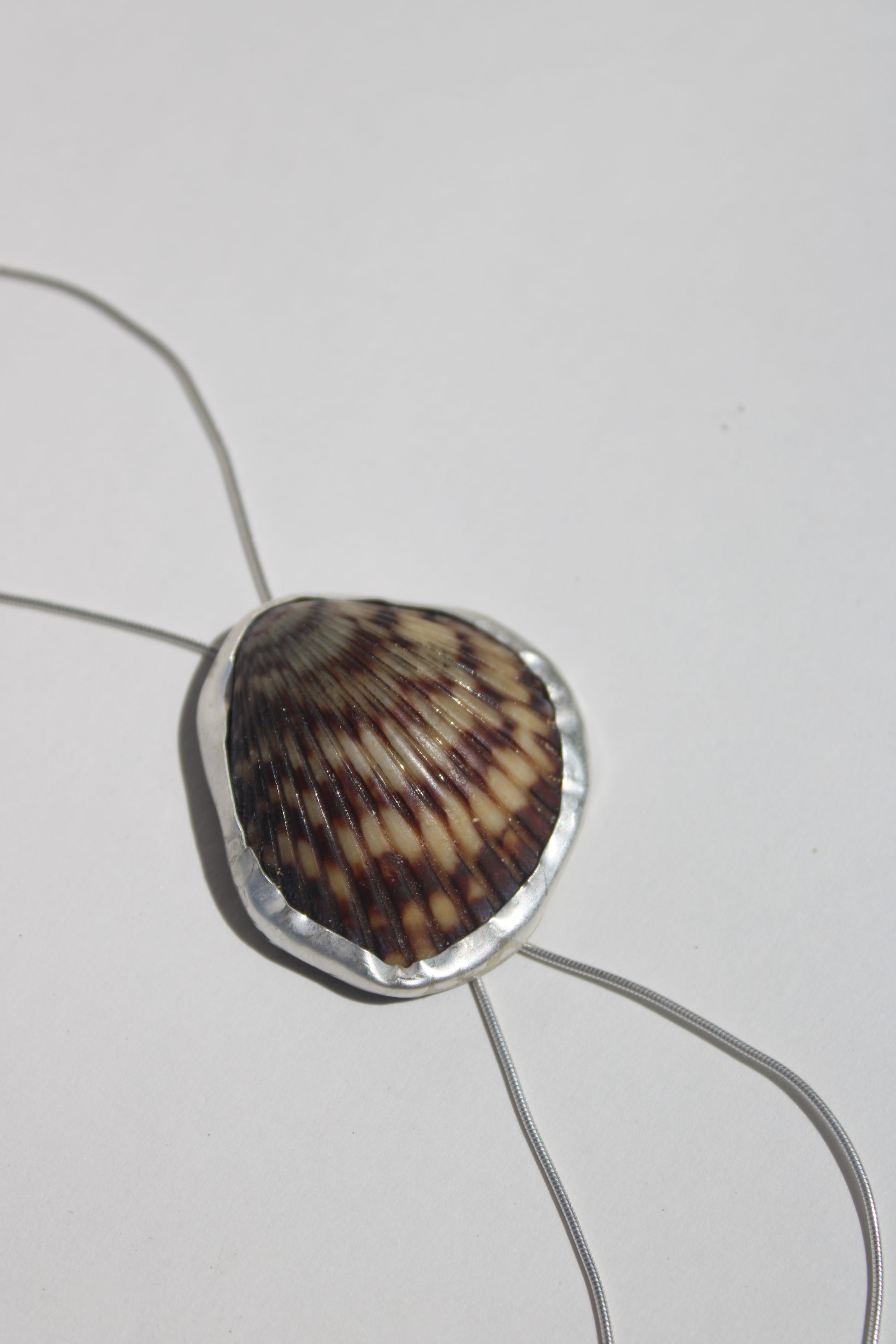 chocolate seashell bolo